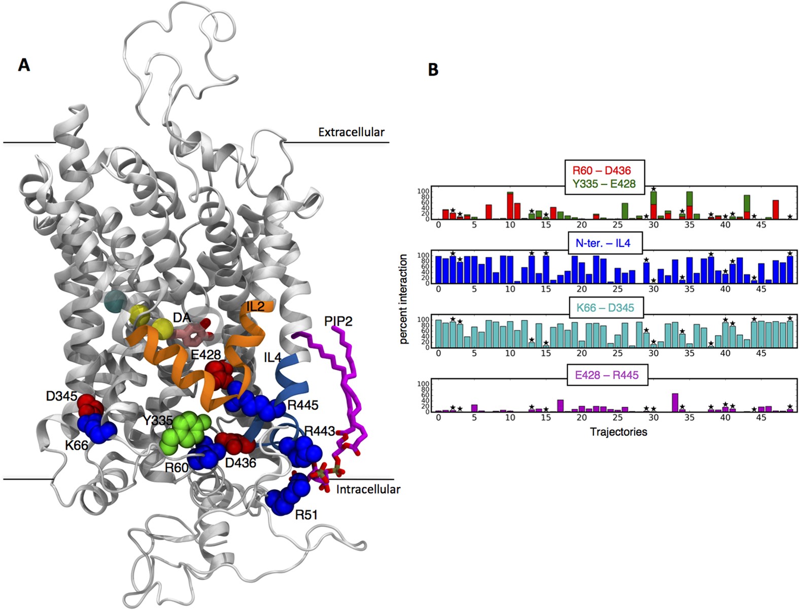 A Markov State Based Quantitative Kinetic Model Of Sodium Release From The Dopamine Transporter Scientific Reports