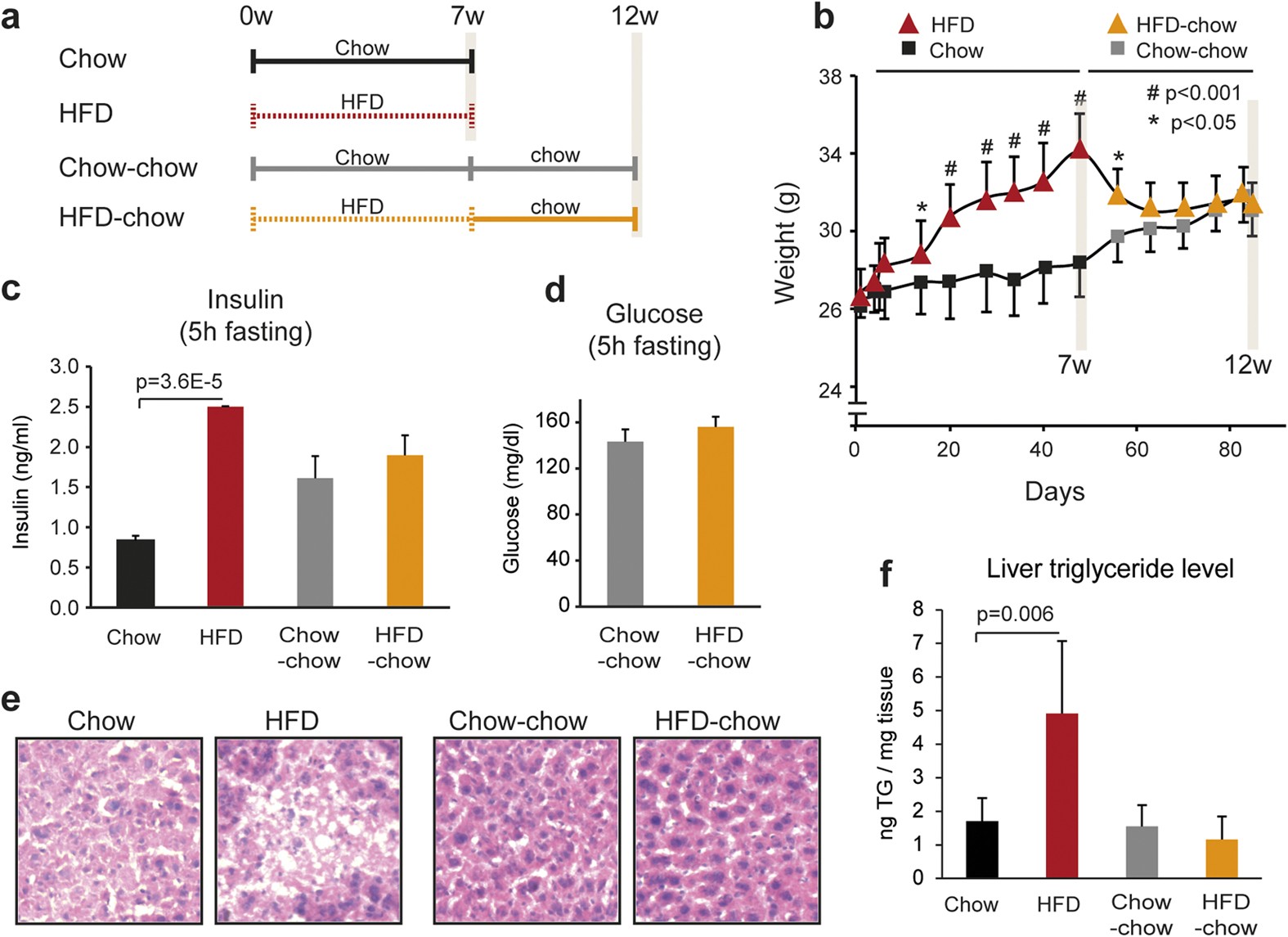High fat diet-induced changes of mouse hepatic transcription and enhancer activity can be reversed by subsequent weight loss | Scientific Reports High fat diet-induced changes of mouse hepatic transcription and enhancer activity can be reversed by subsequent weight loss | Scientific Reports