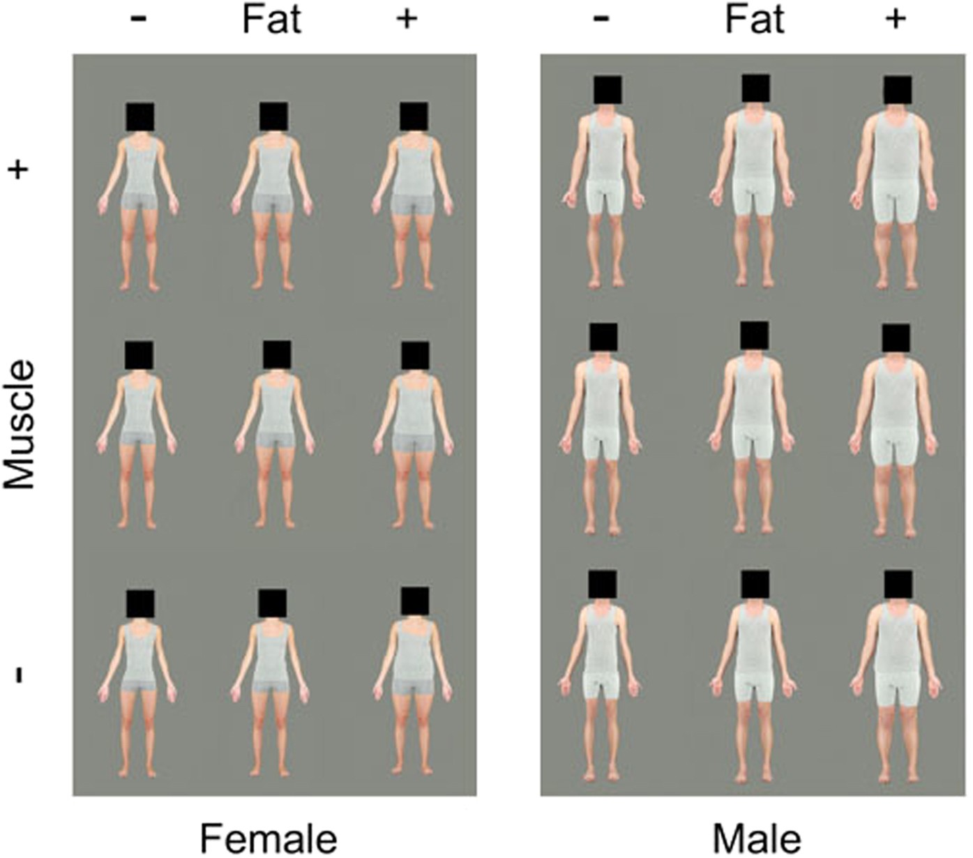 Independent Aftereffects of Fat and Muscle: Implications for neural  encoding, body space representation, and body image disturbance