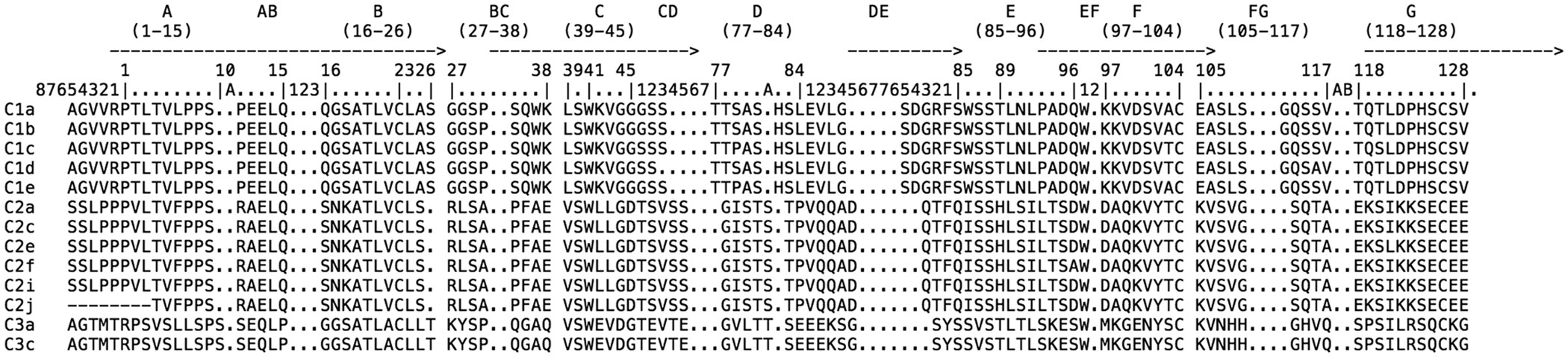 Immunoglobulin light chain (IGL) genes in torafugu: Genomic organization  and identification of a third teleost IGL isotype | Scientific Reports