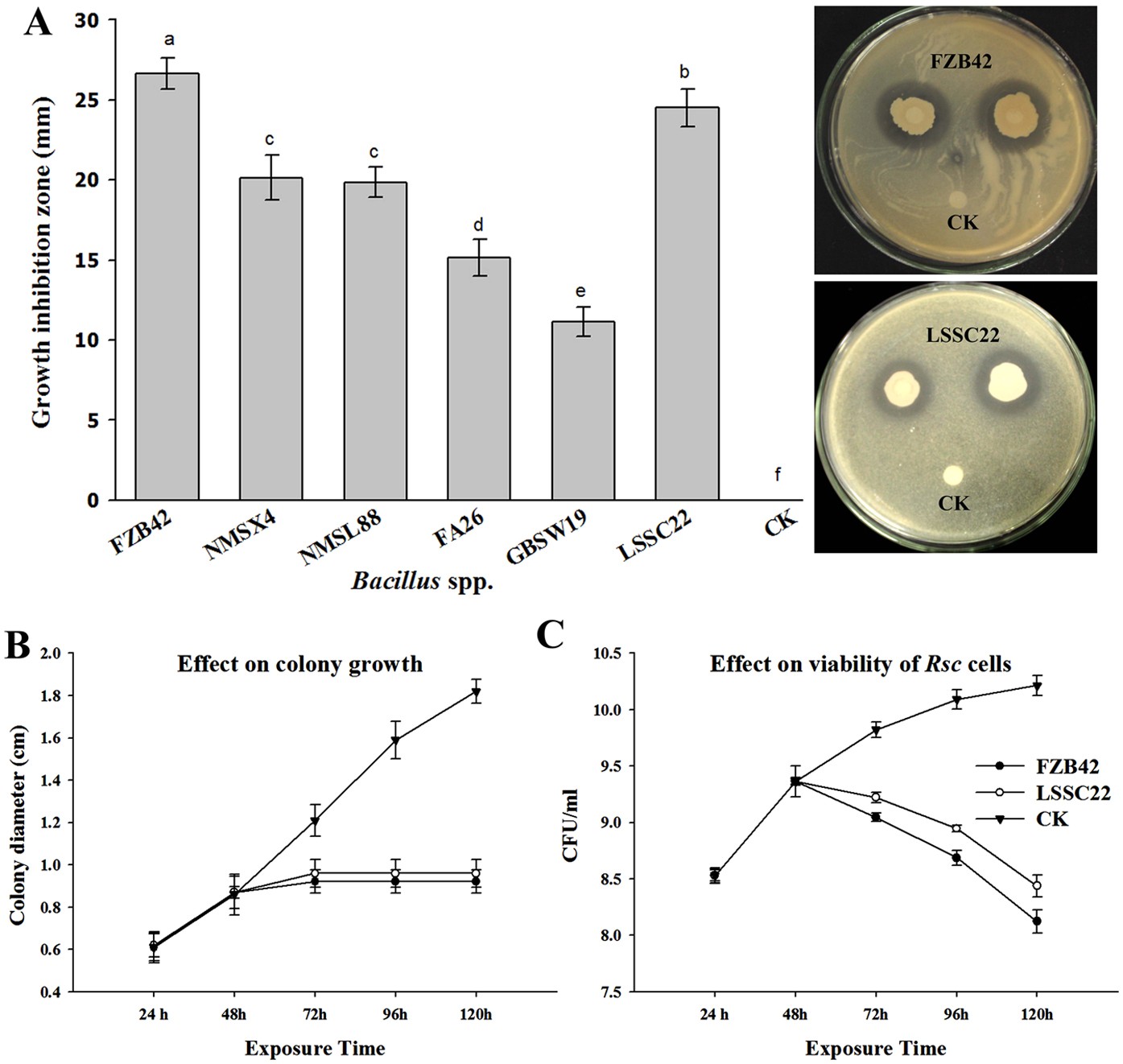 Bacillus Volatiles Adversely Affect The Physiology And Ultra Structure Of Ralstonia Solanacearum And Induce Systemic Resistance In Tobacco Against Bacterial Wilt Scientific Reports Bacillus Volatiles Adversely Affect The Physiology And Ultra Structure Of Ralstonia Solanacearum And Induce Systemic Resistance In Tobacco Against Bacterial Wilt Scientific Reports