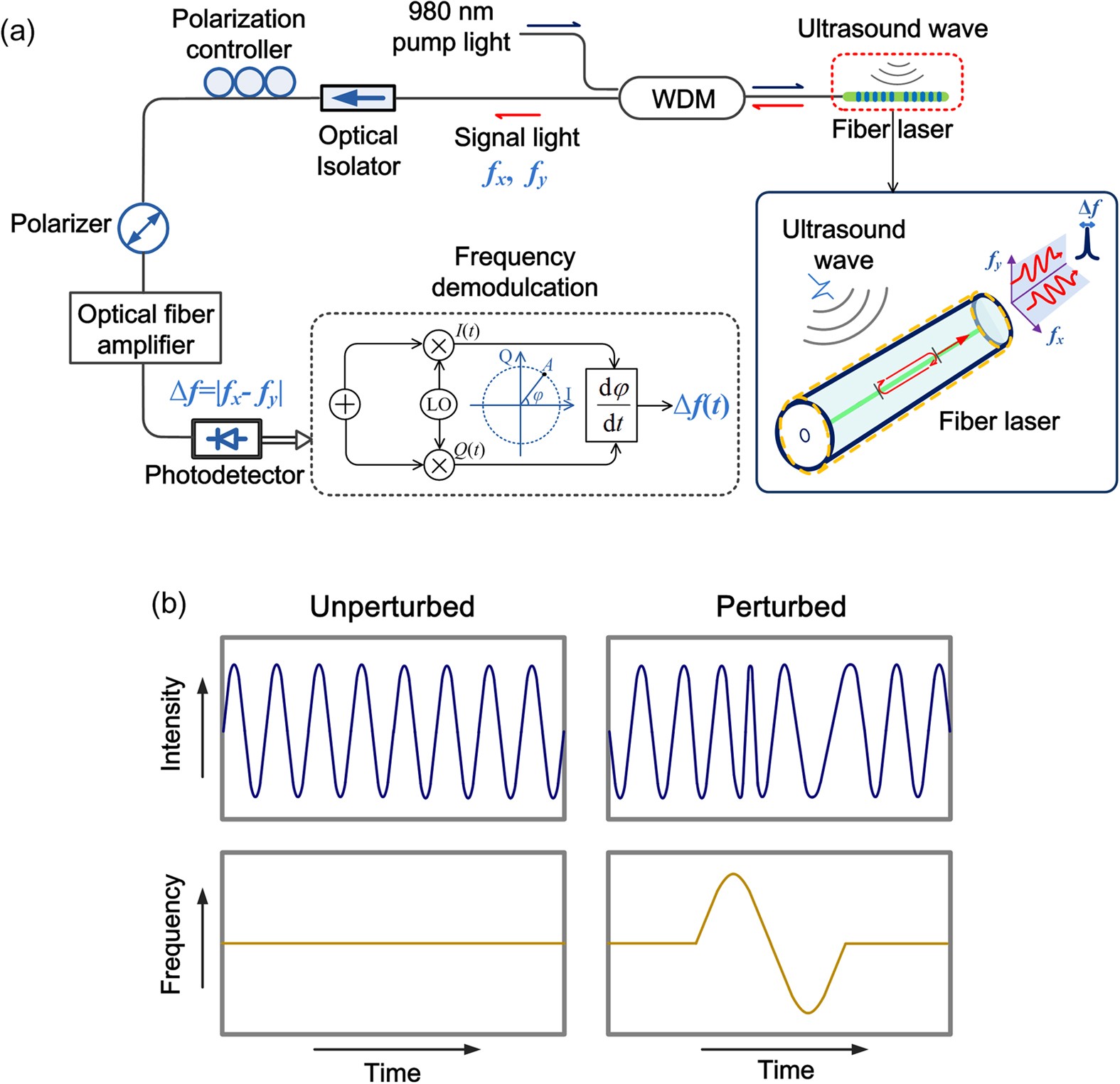 Fiber-Laser-Based Ultrasound Sensor for Photoacoustic Imaging | Scientific  Reports