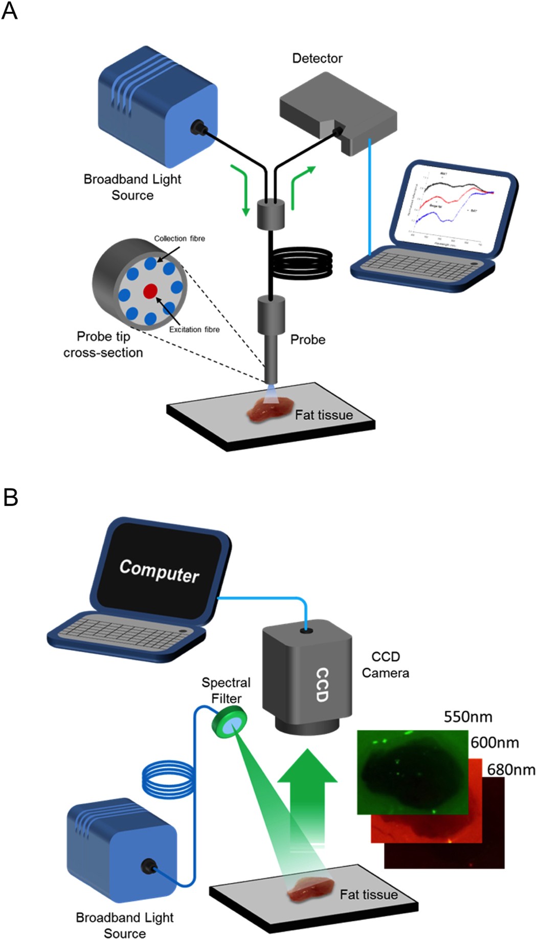 Diffuse Optical Spectroscopy and Imaging to Detect and Quantify 