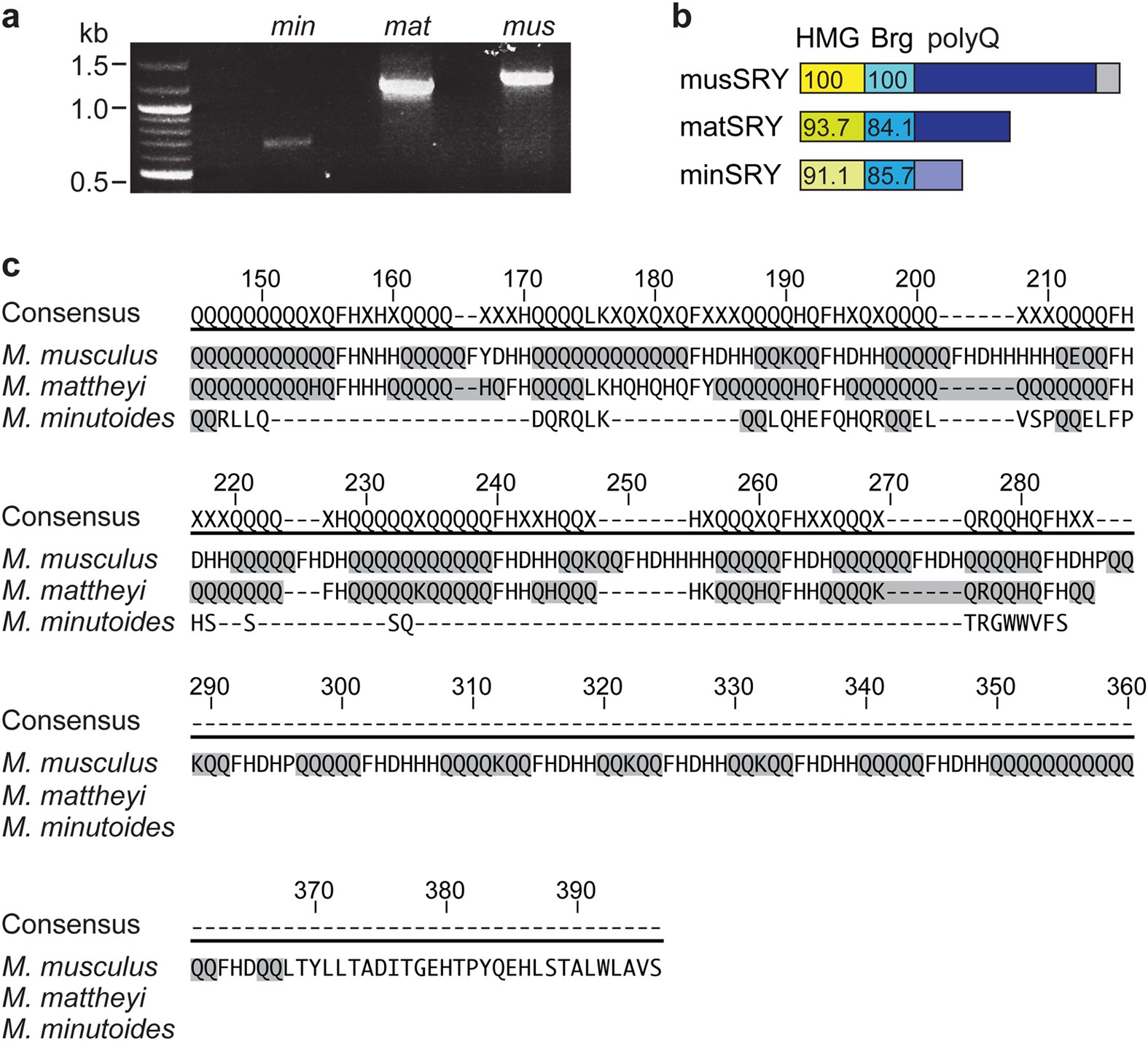 Reduced Activity Of Sry And Its Target Enhancer Sox9 Tesco In A