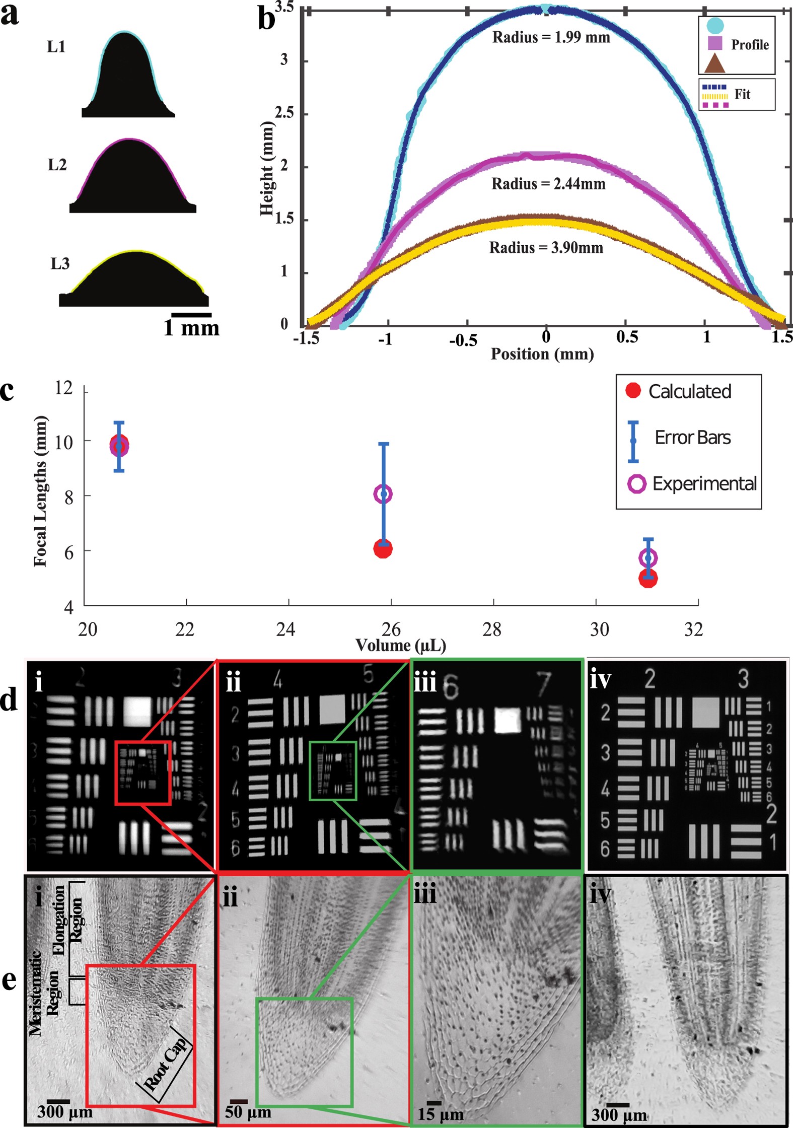 Figure 6: Lens curvature profiling and imaging.