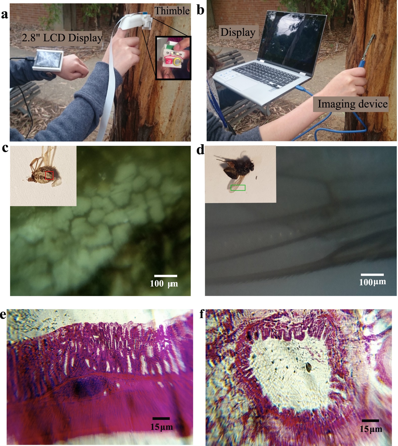 Figure 9: Thimble imaging device with macroscopic and microscopic imaging.