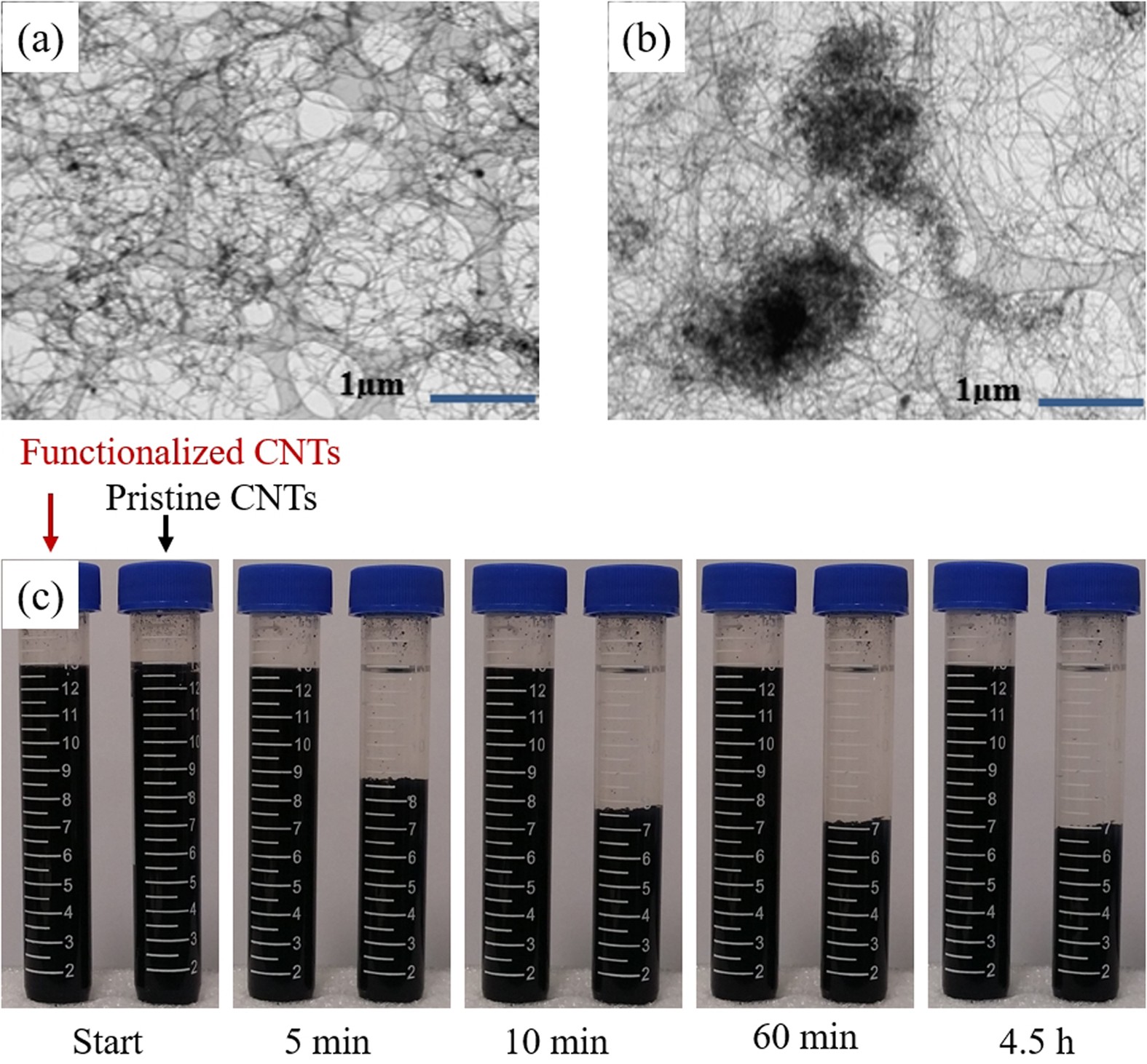 Enhanced vapor transport in membrane distillation via functionalized carbon  nanotubes anchored into electrospun nanofibres | Scientific Reports