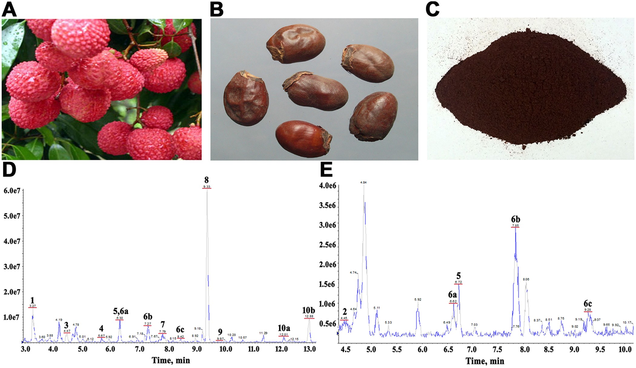 Litchi Seed Extracts Diminish Prostate Cancer Progression Via