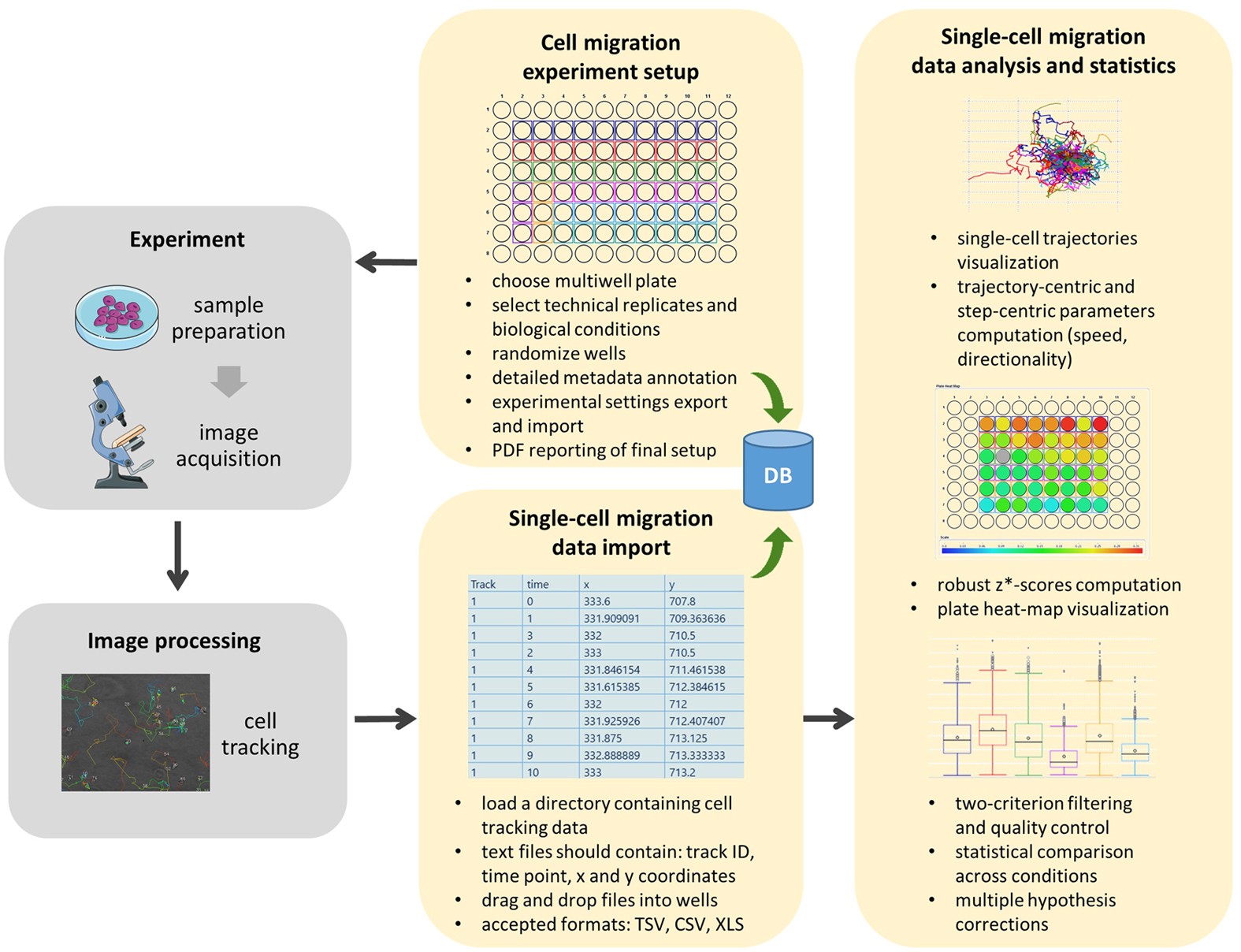 An End To End Software Solution For The Analysis Of High Throughput Single Cell Migration Data Scientific Reports An End To End Software Solution For The Analysis Of High Throughput Single Cell Migration Data Scientific Reports