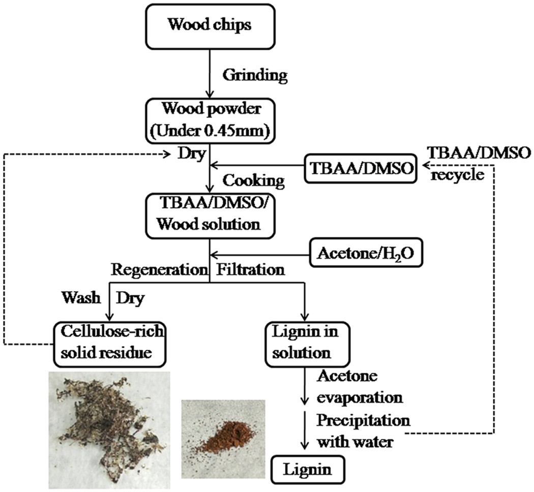Partial delignification of wood and membrane preparation using a quaternary  ammonium ionic liquid | Scientific Reports