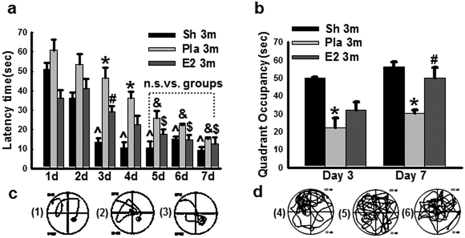 Figure 1: Effect of 17β-estradiol (E2) treatment on cognitive function after BCCAO 3 months.