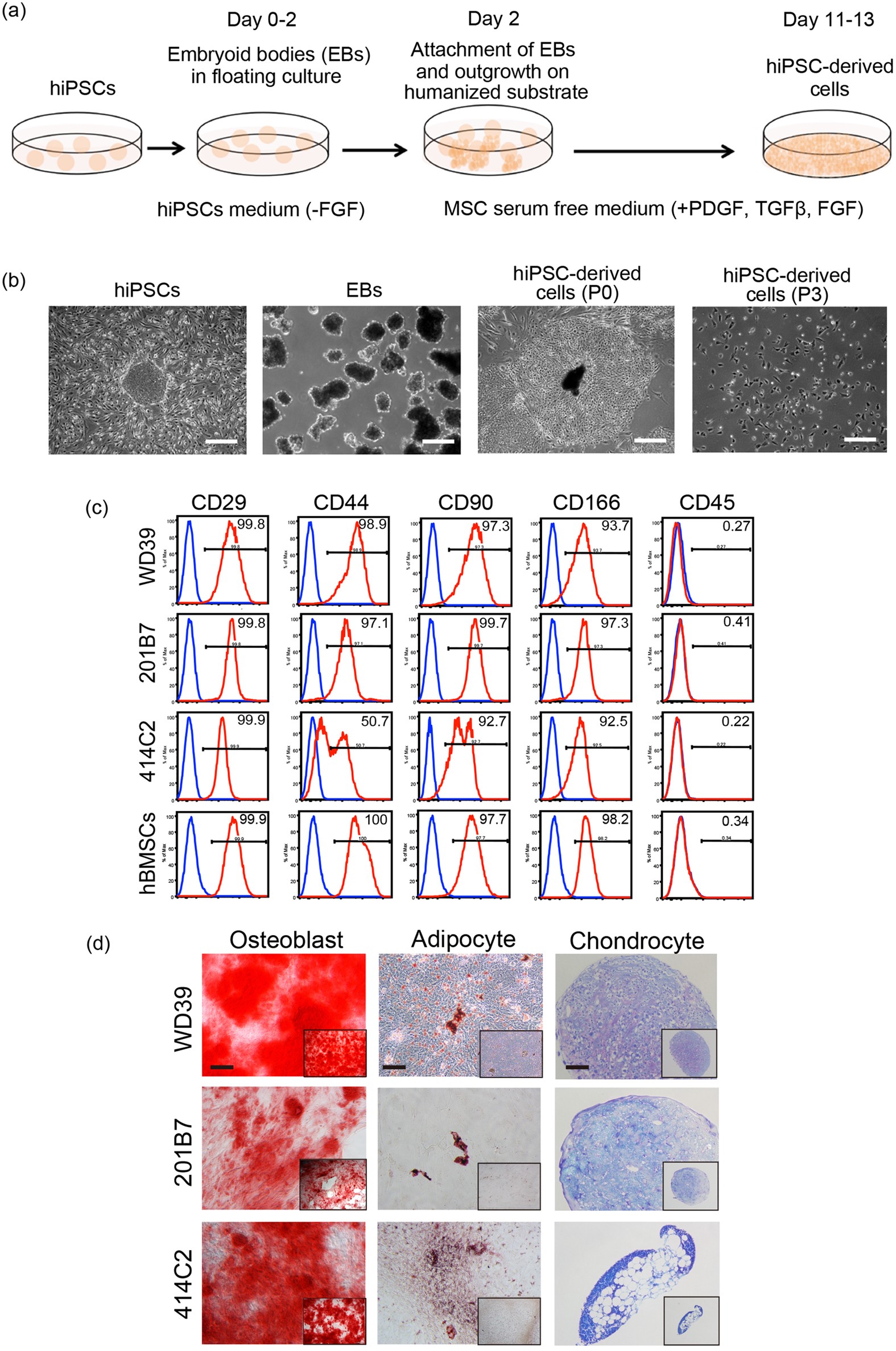 Induction of hair follicle dermal