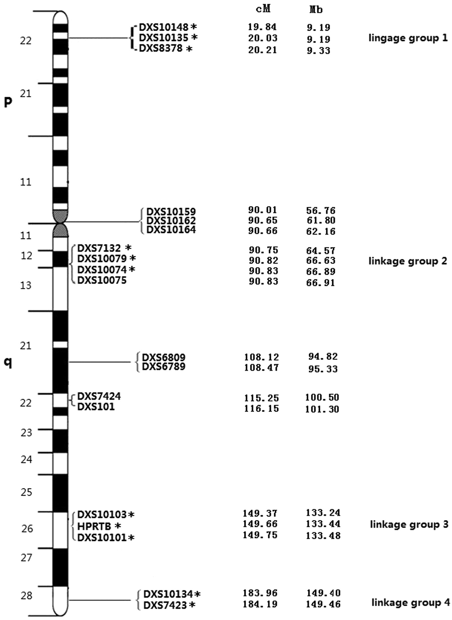 Genetic analysis of 19 X chromosome STR loci for forensic purposes in four  Chinese ethnic groups | Scientific Reports