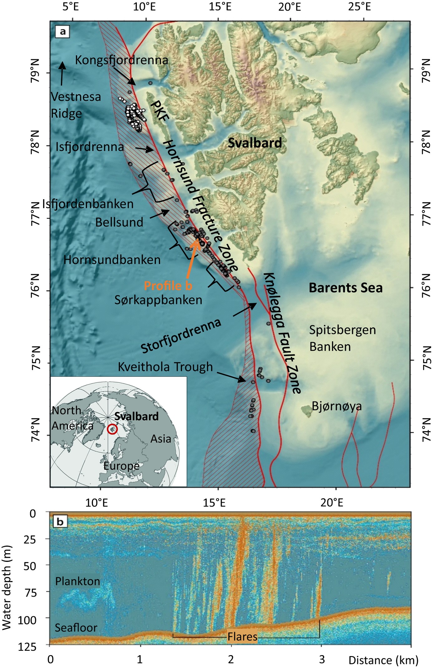 Widespread methane seepage along the continental margin off Svalbard - from  Bjørnøya to Kongsfjorden | Scientific Reports