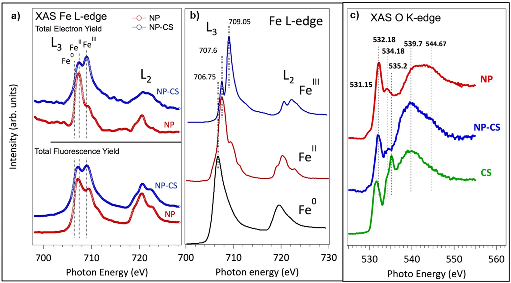 Chitosan Coated Mesoporous Mil 100 Fe Nanoparticles As Improved