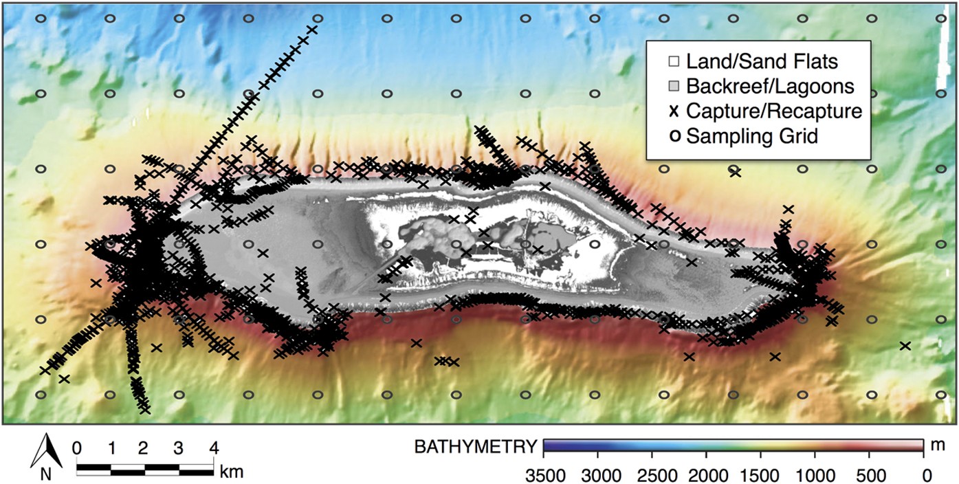 dyr Diplomati Kedelig Resetting predator baselines in coral reef ecosystems | Scientific Reports