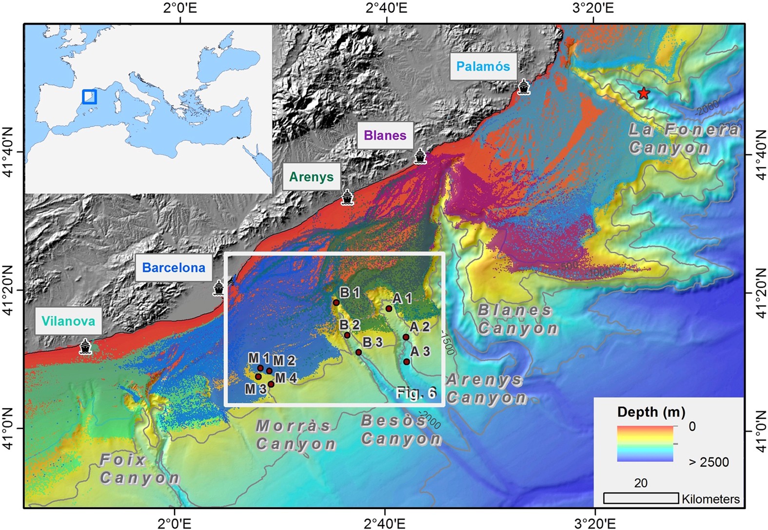 Bottom Trawling Along Submarine Canyons Impacts Deep Sedimentary