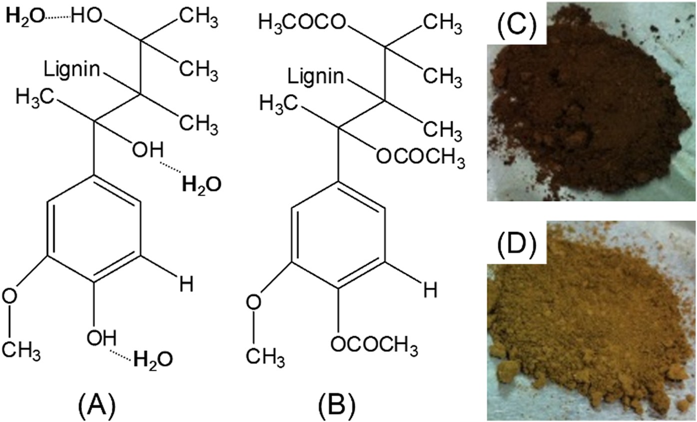 All Biomass And Uv Protective Composite Composed Of Compatibilized Lignin And Poly Lactic Acid Scientific Reports
