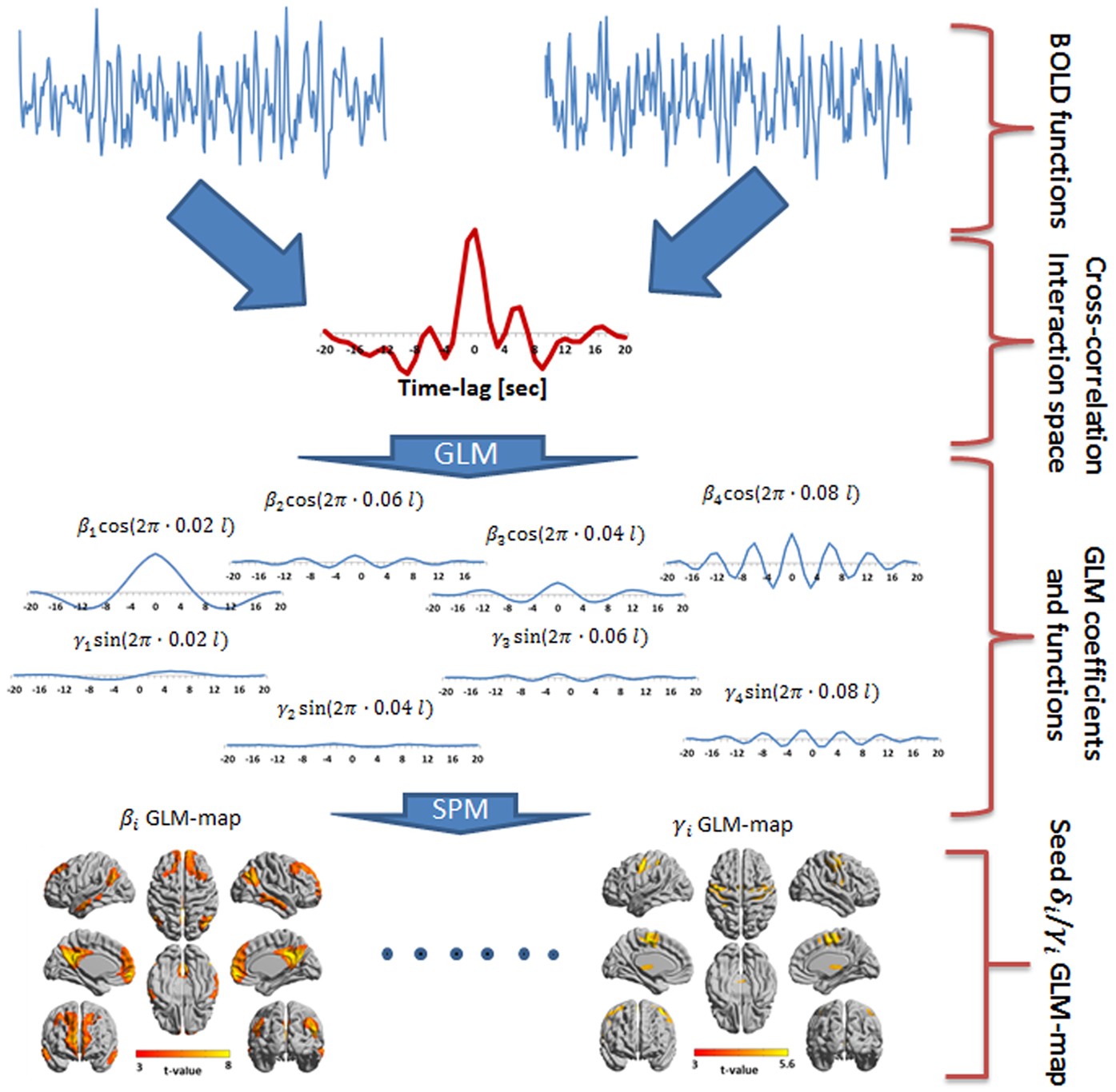 Frequency Phase Analysis Of Resting State Functional Mri Scientific Reports Frequency Phase Analysis Of Resting State Functional Mri Scientific Reports