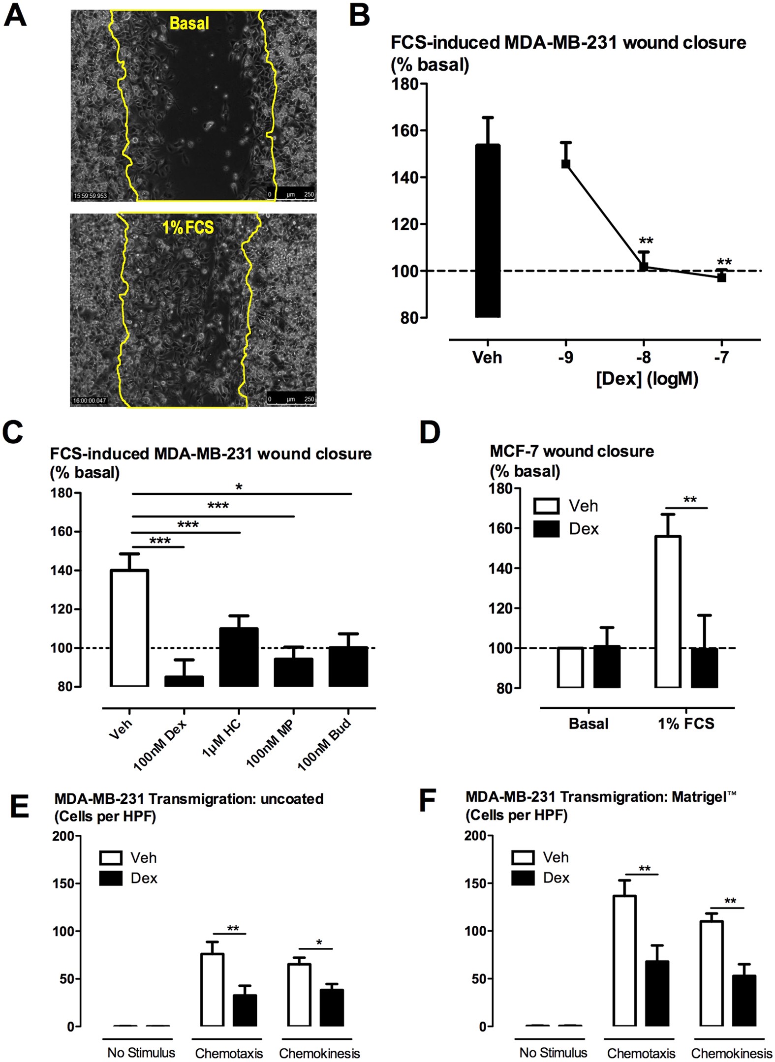 Glucocorticoid resistance of migration and gene expression in a daughter  MDA-MB-231 breast tumour cell line selected for high metastatic potential |  Scientific Reports