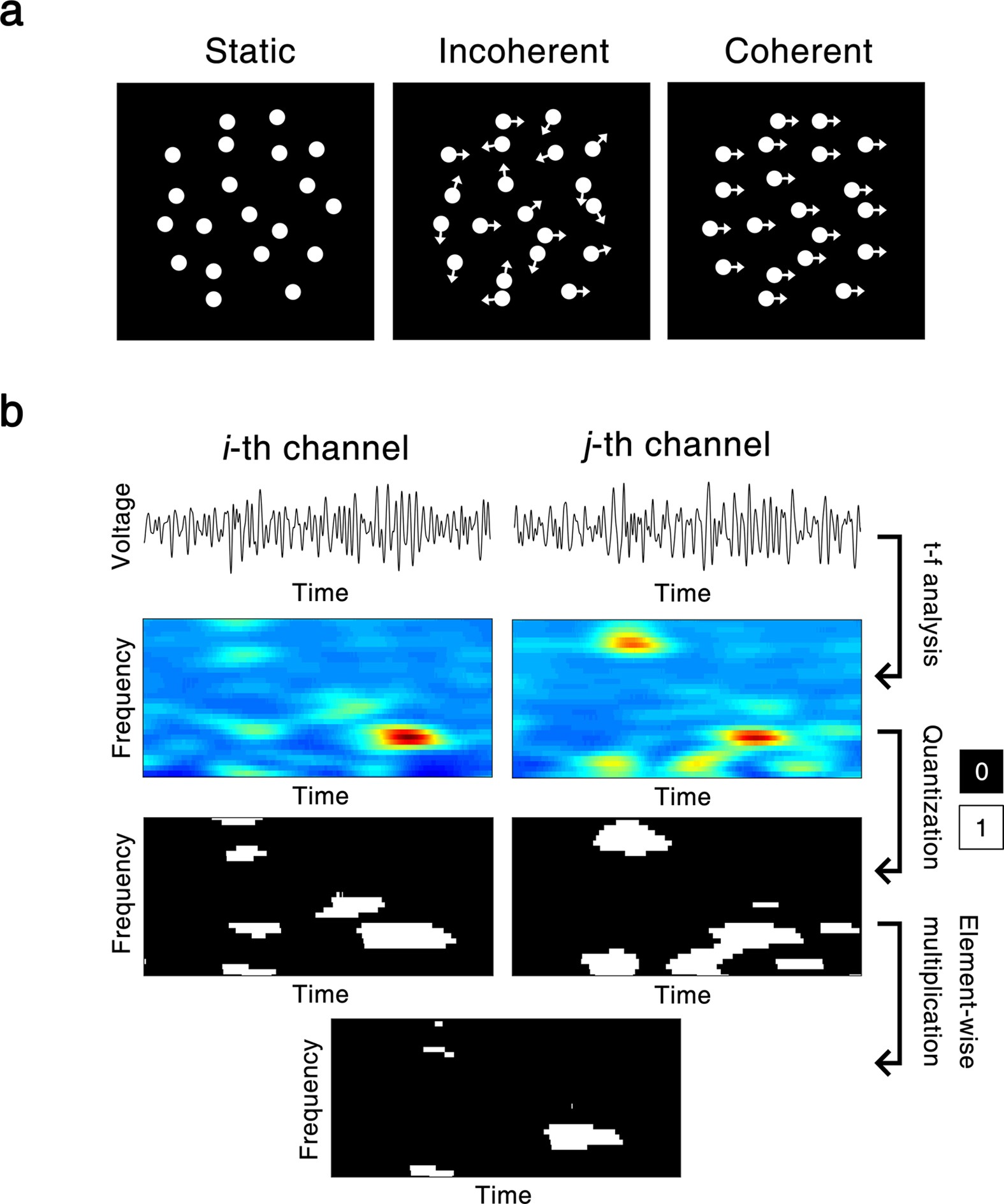 Gamma-Band Activities in Mouse Frontal and Visual Cortex Induced by  Coherent Dot Motion | Scientific Reports