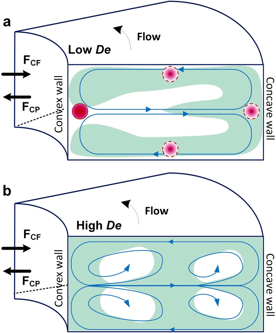 Dean Flow Dynamics in Low-Aspect Ratio Spiral Microchannels