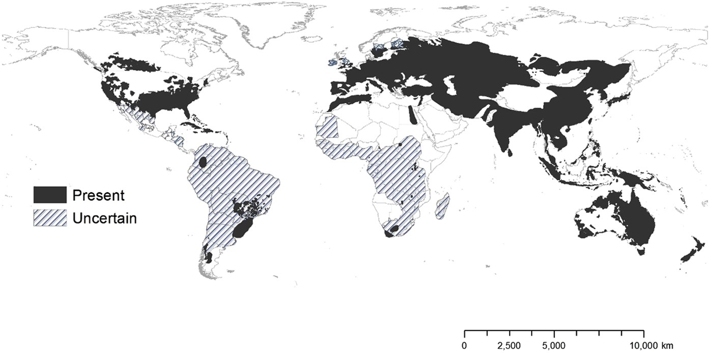 Biotic and abiotic factors predicting the global distribution and population density of an invasive large mammal | Scientific Reports Biotic and abiotic factors predicting the global distribution and population density of an invasive large mammal | Scientific Reports