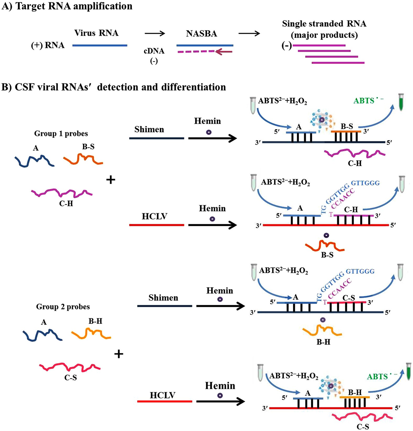 Nucleic Acid Sequence-Based Amplification, a New Method for Analysis of  Spliced and Unspliced Epstein-Barr Virus Latent Transcripts, and Its  Comparison with Reverse Transcriptase PCR