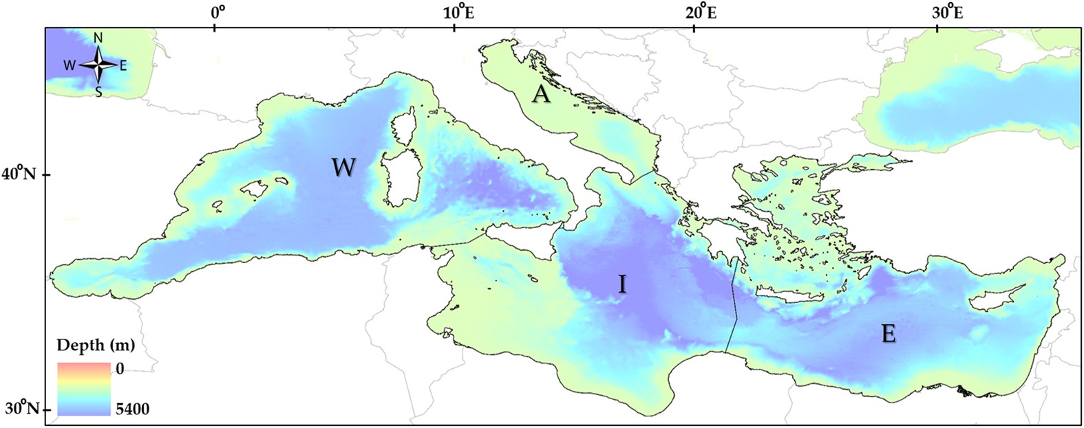 Historical changes of the Mediterranean Sea ecosystem: modelling