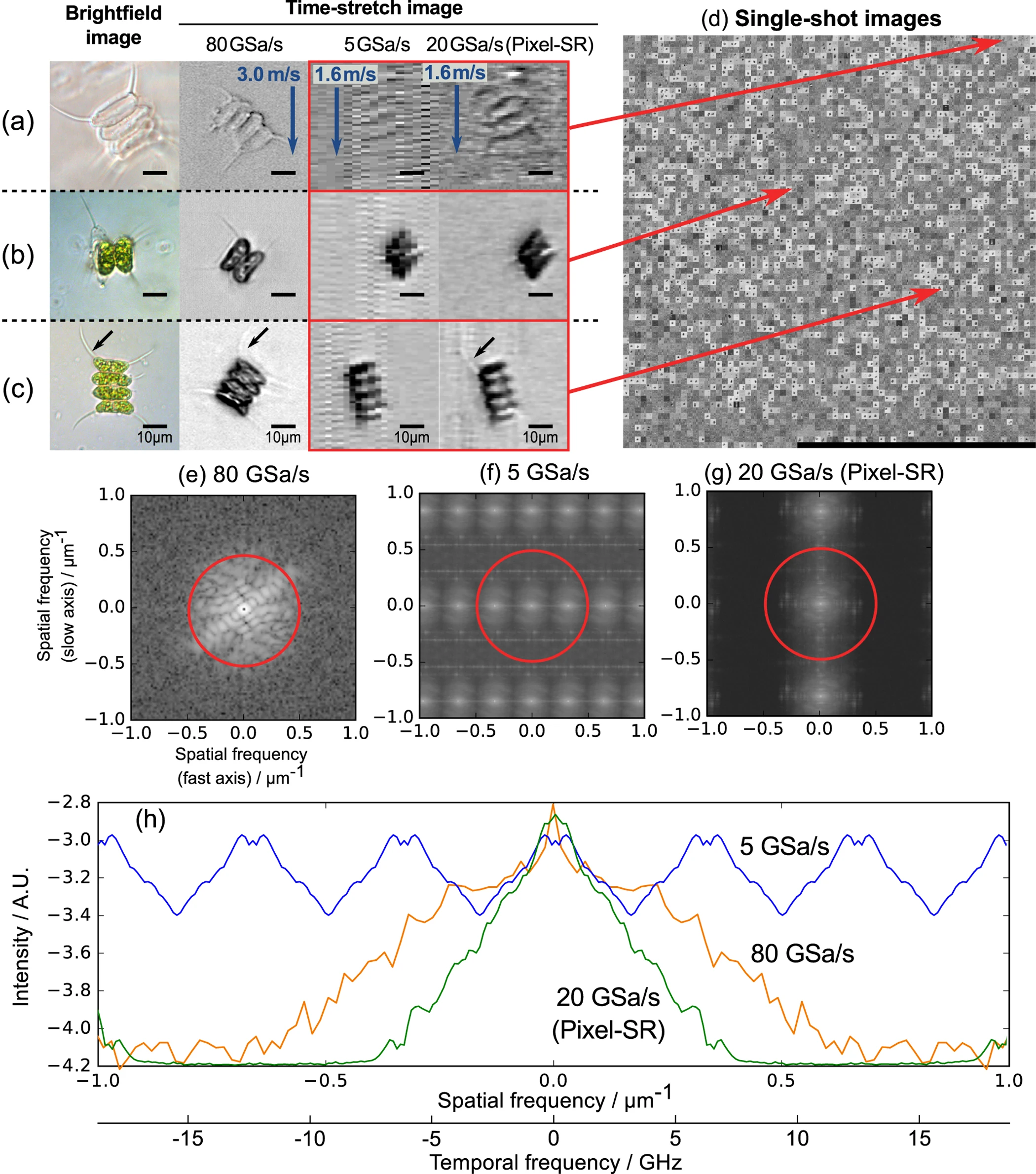 https://media.springernature.com/full/springer-static/image/art%3A10.1038%2Fsrep44608/MediaObjects/41598_2017_Article_BFsrep44608_Fig2_HTML.jpg?as=webp