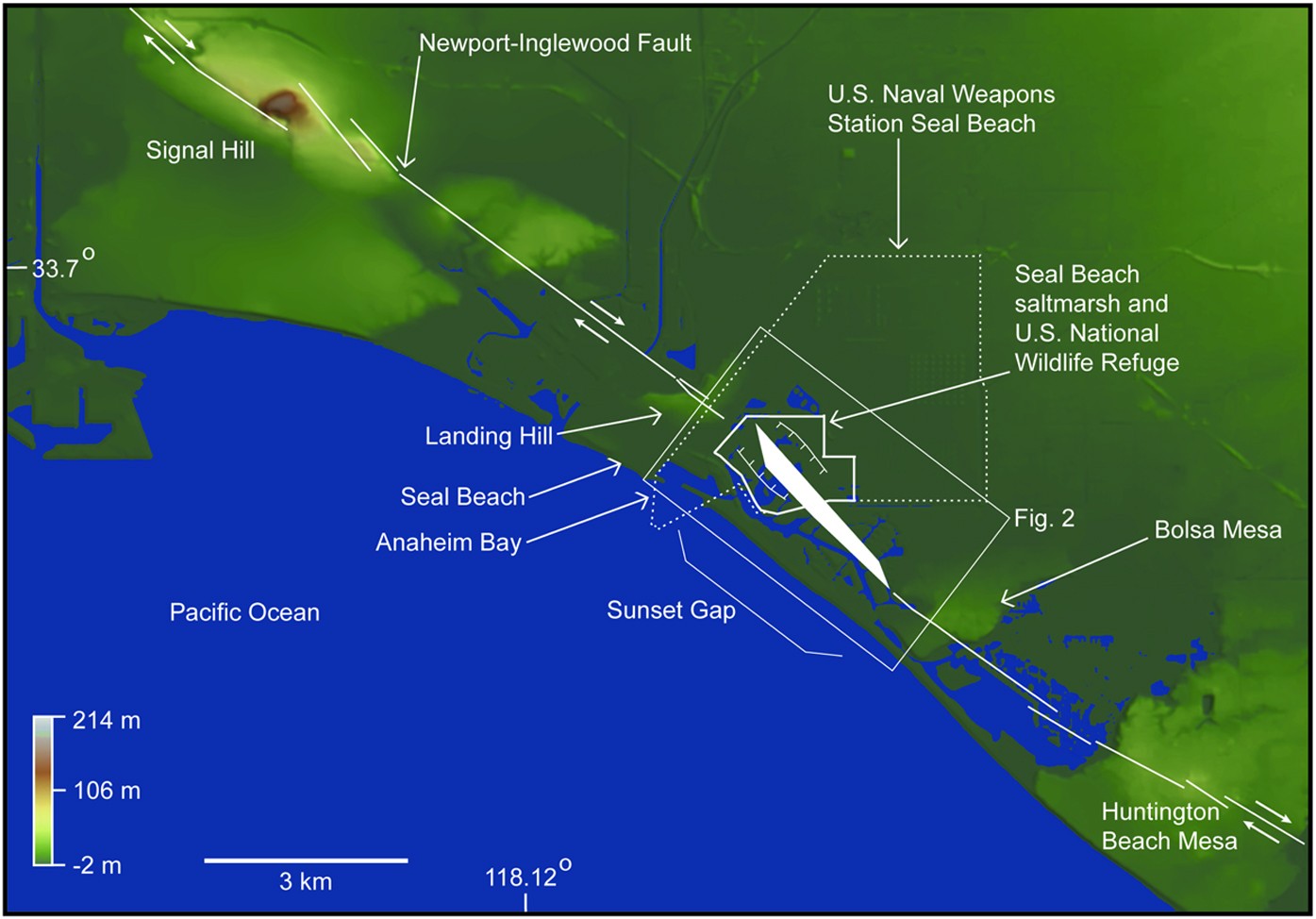 Increasing Salt Marsh Elevation Using Sediment Augmentation: Critical  Insights from Surface Sediments and Sediment Cores