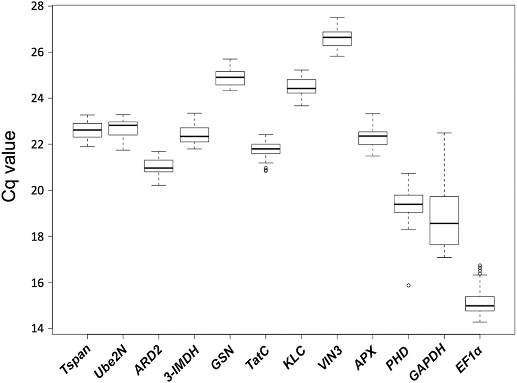 PDF) RNA-Seq in Mytilus galloprovincialis: Comparative