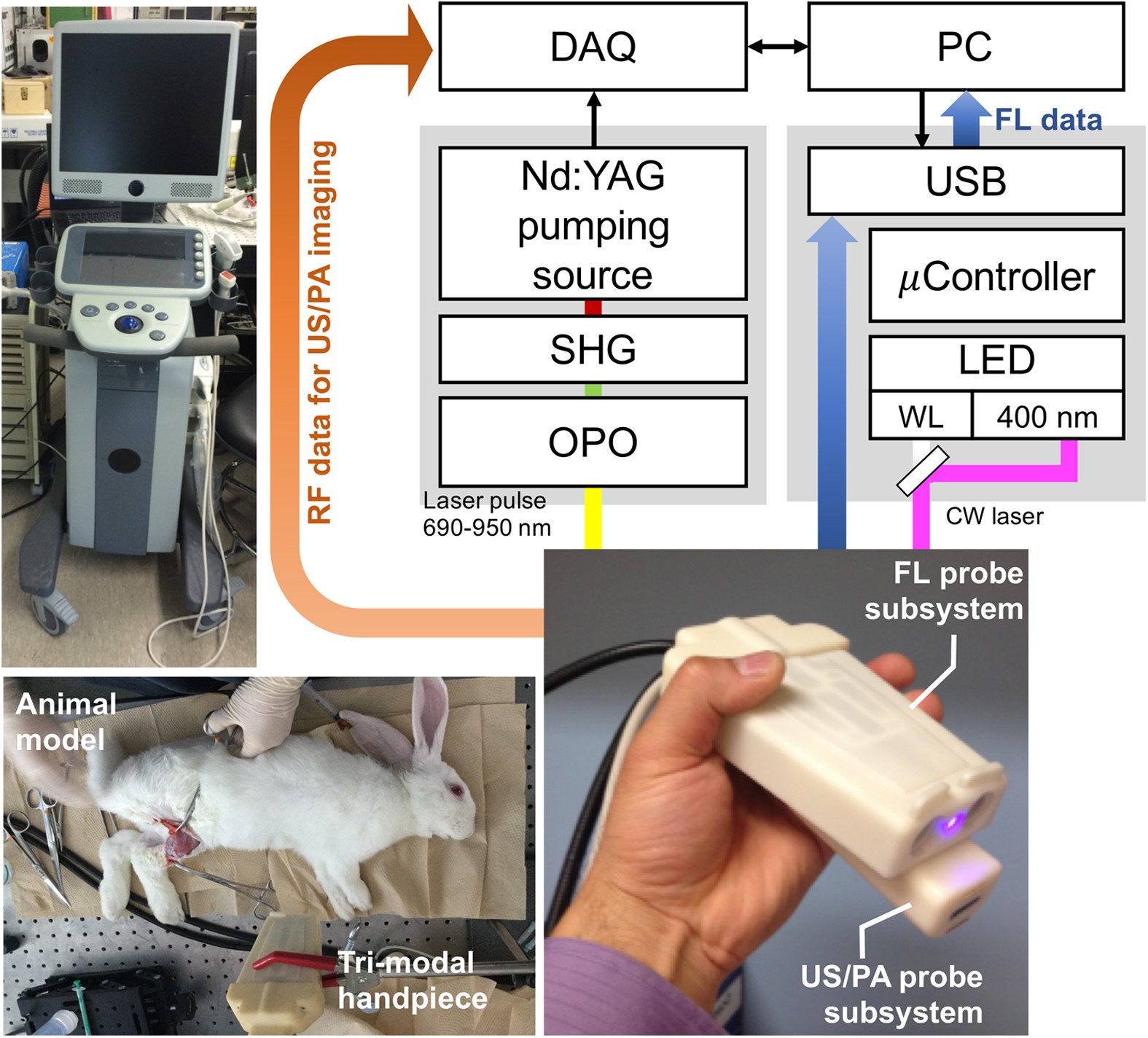 Real-Time Sentinel Lymph Node Biopsy Guidance Using Combined Ultrasound,  Photoacoustic, Fluorescence Imaging: In Vivo Proof-Of-Principle And  Validation With Nodal Obstruction | Scientific Reports