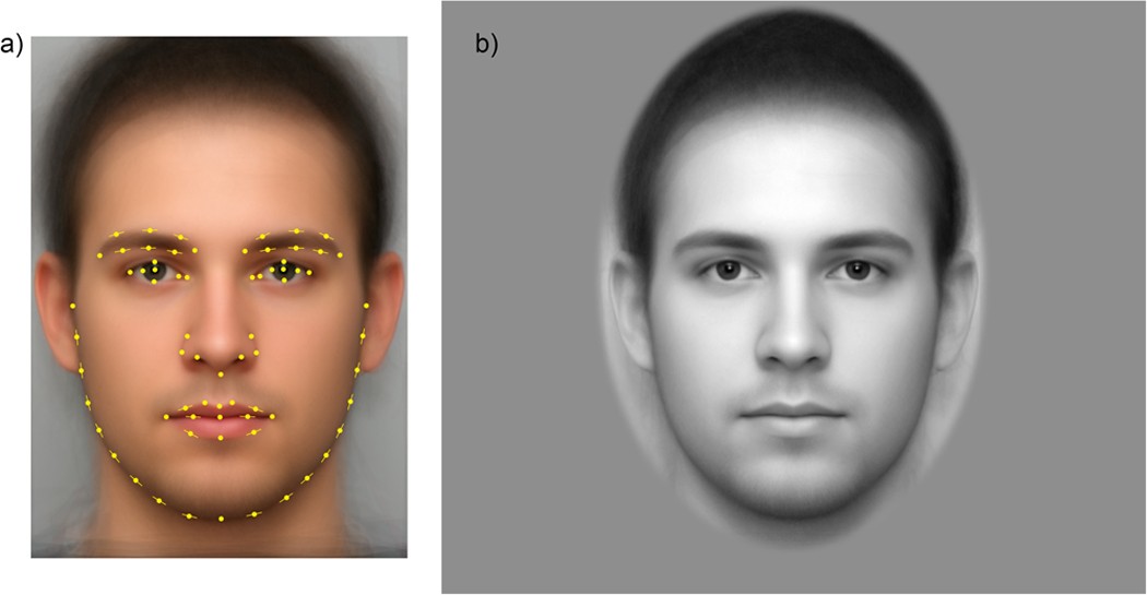 Patterns of correlation of facial shape with physiological measurements are  more integrated than patterns of correlation with ratings | Scientific  Reports