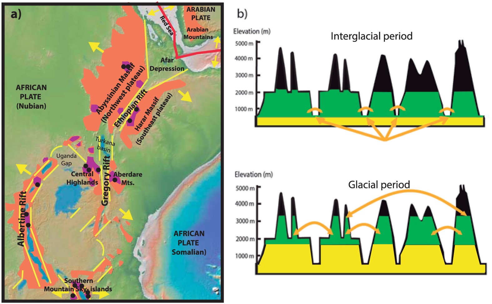 african rift valley diagram