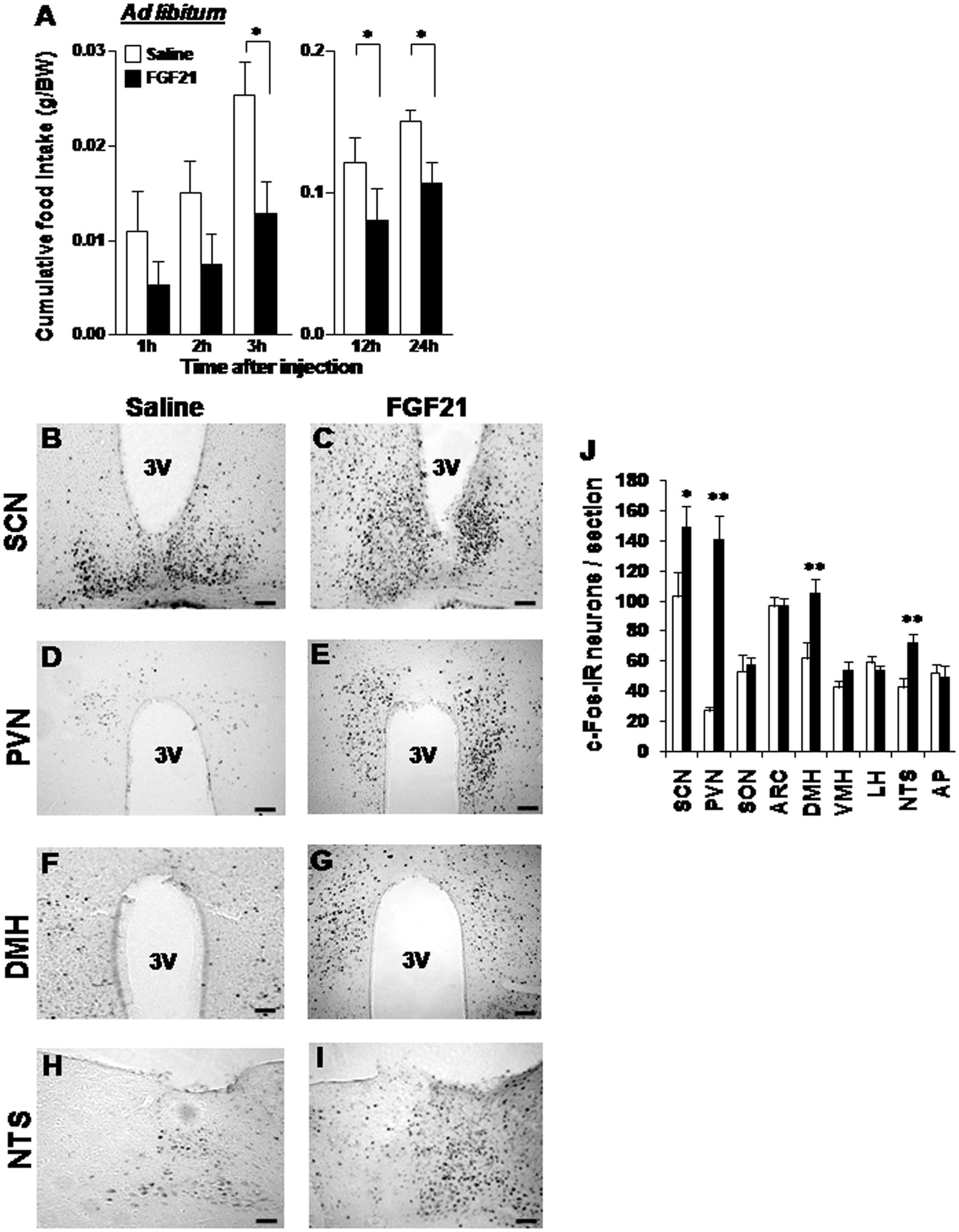 Fibroblast Growth Factor 21 Assisted By Elevated Glucose Activates Paraventricular Nucleus Nucb2 Nesfatin 1 Neurons To Produce Satiety Under Fed States Scientific Reports