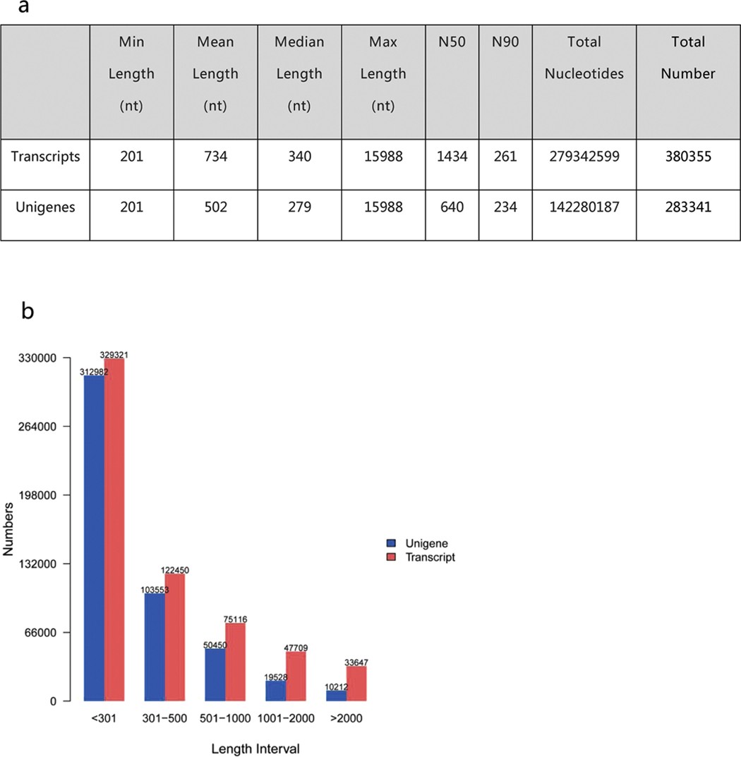 Diplosporous Development In Boehmeria Tricuspis Insights From De Novo Transcriptome Assembly And Comprehensive Expression Profiling Scientific Reports