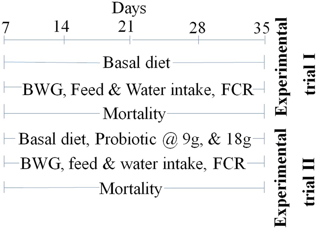 Broiler Chicken Feed Chart