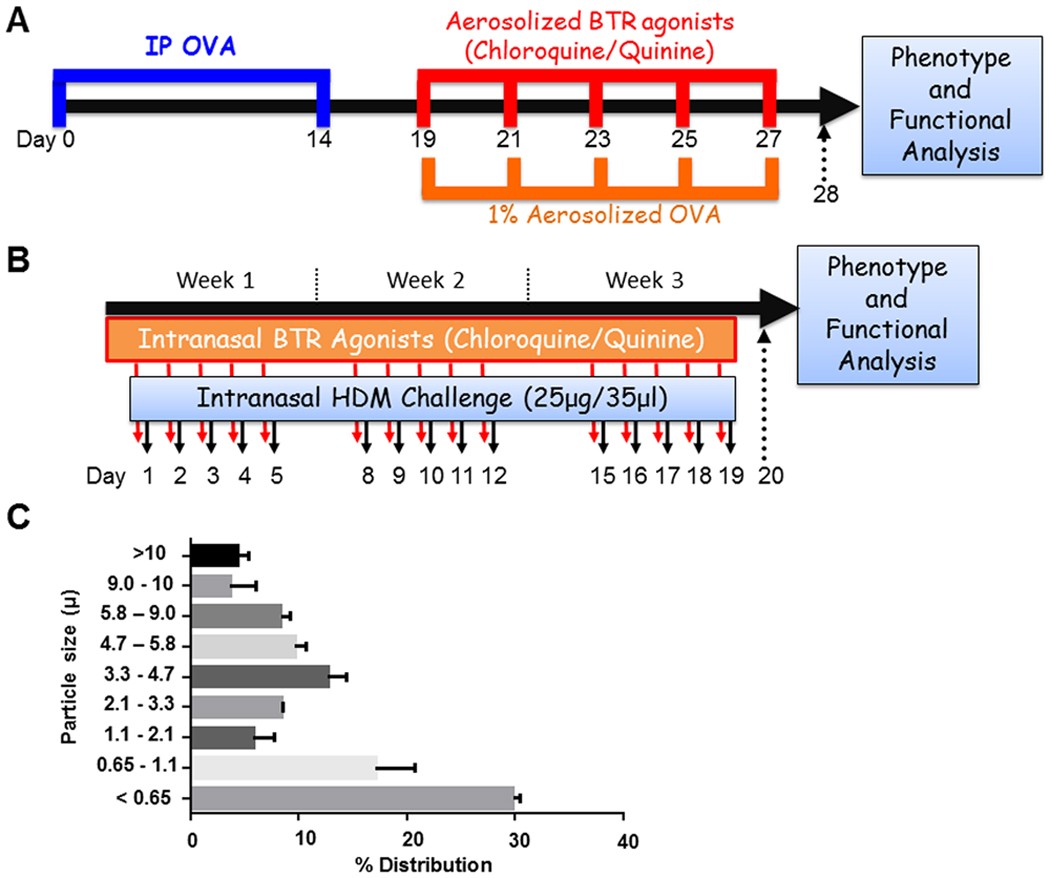Bitter Taste Receptor Agonists Mitigate Features Of Allergic