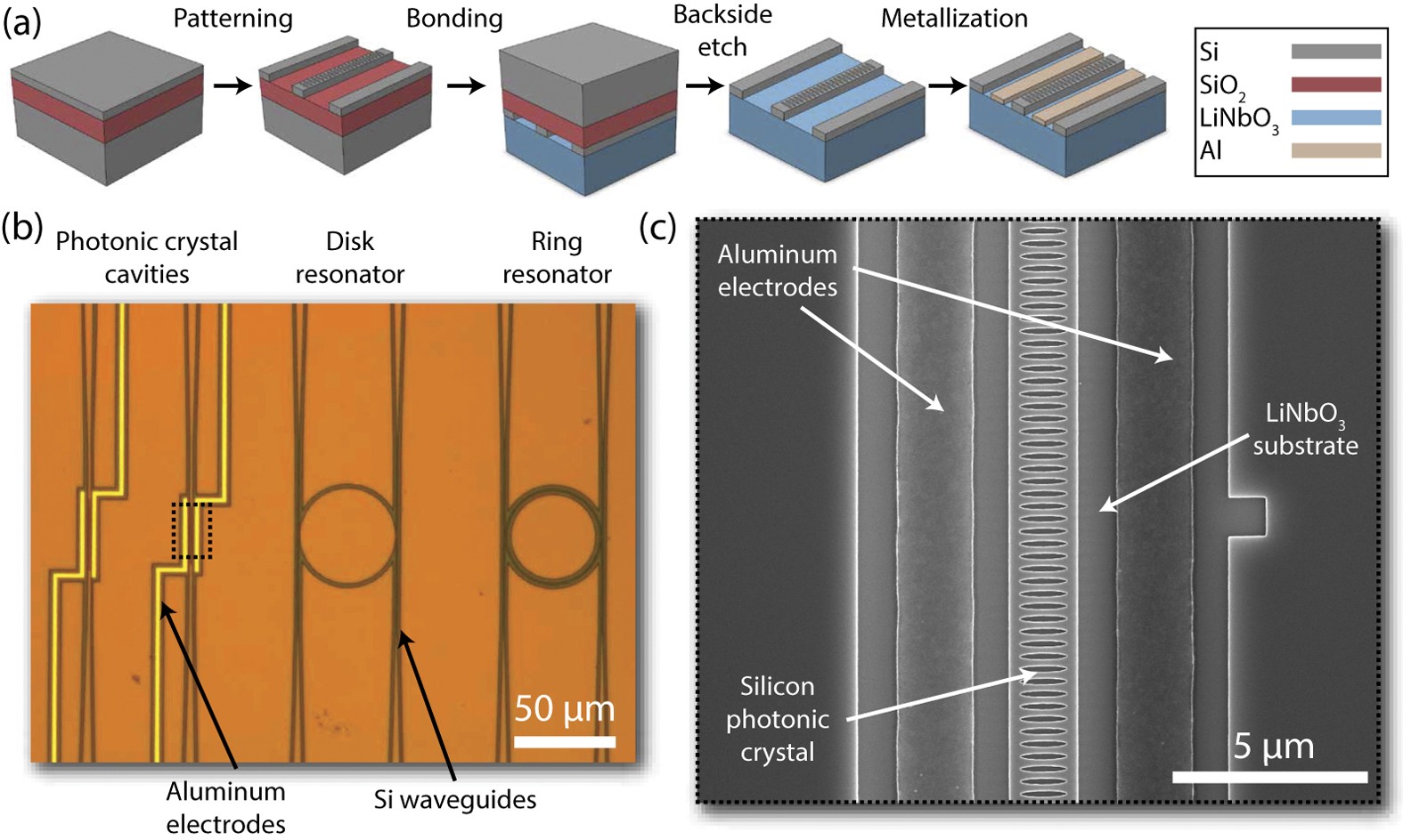 What are Photonic Resonators: Unlocking Light's Secrets