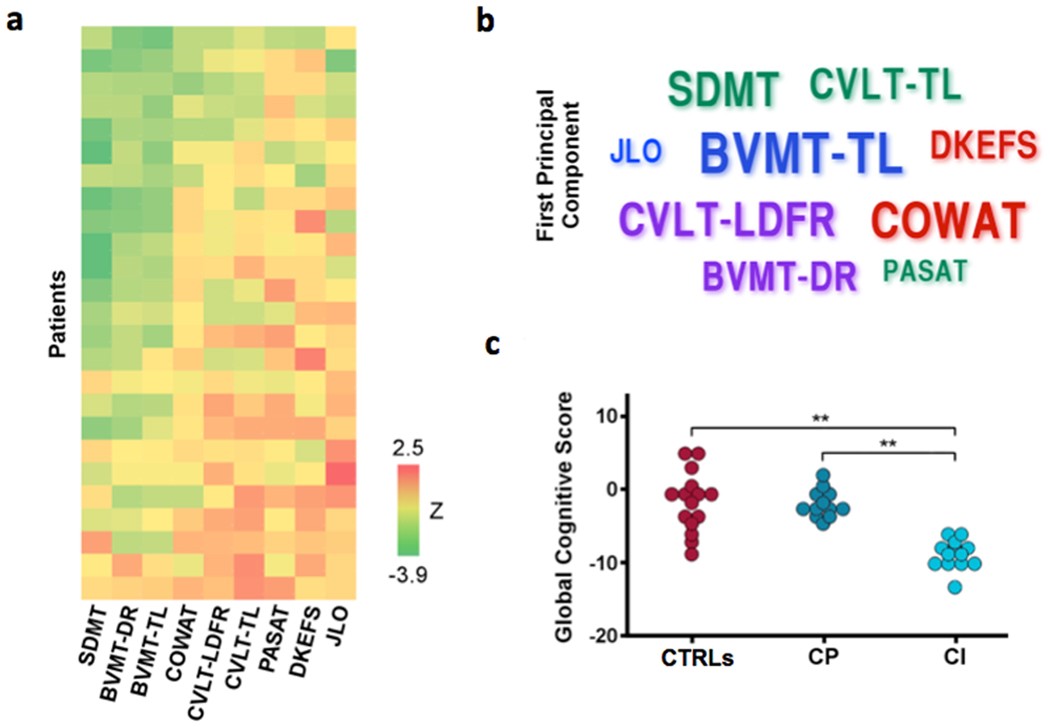 Synchronization And Variability Imbalance Underlie Cognitive Impairment In Primary Progressive Multiple Sclerosis Scientific Reports