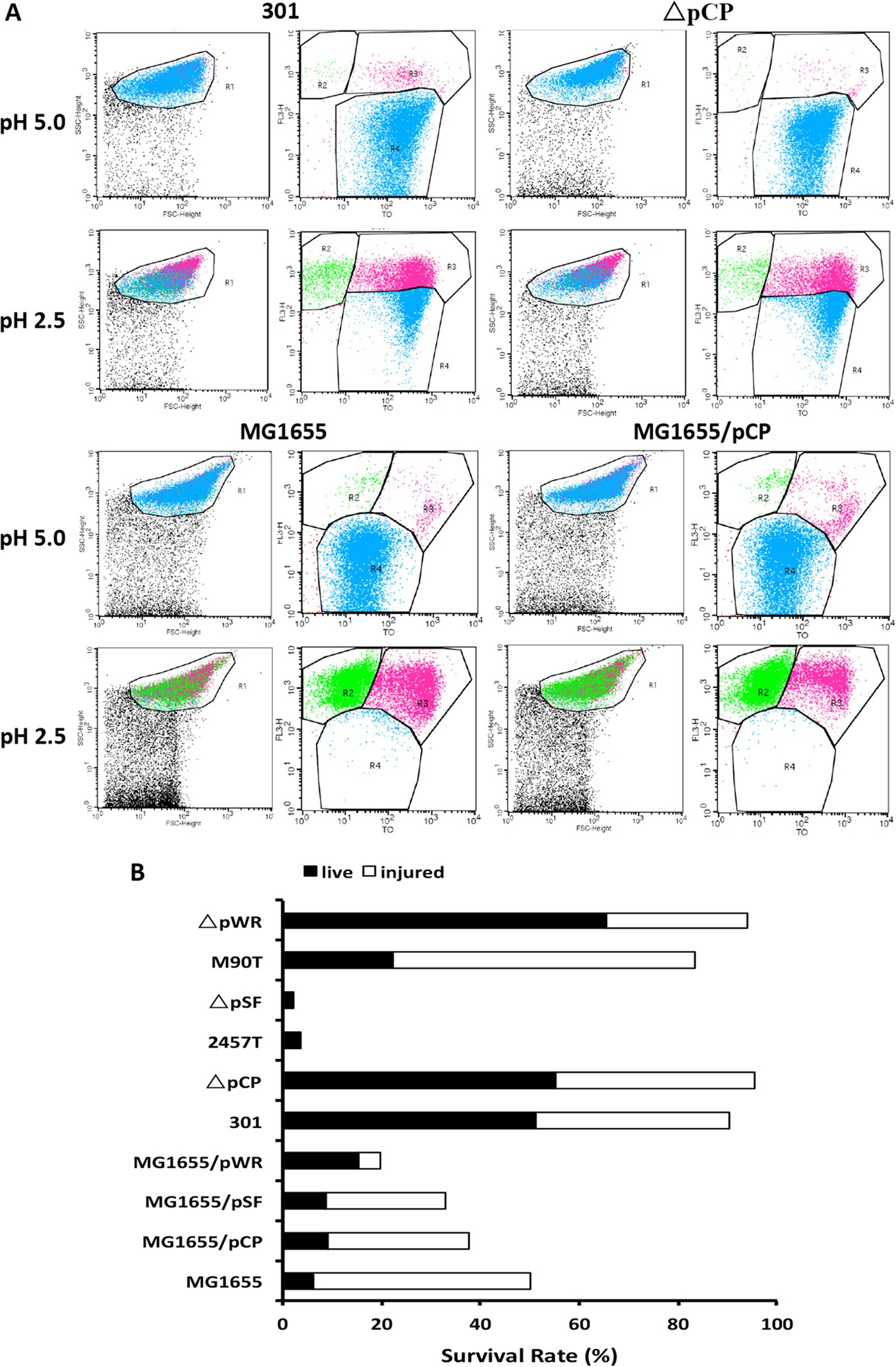 Figure 2