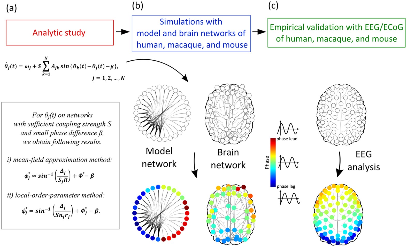 Ω M = f (θ ) relationship obtained from numerical simulations of a