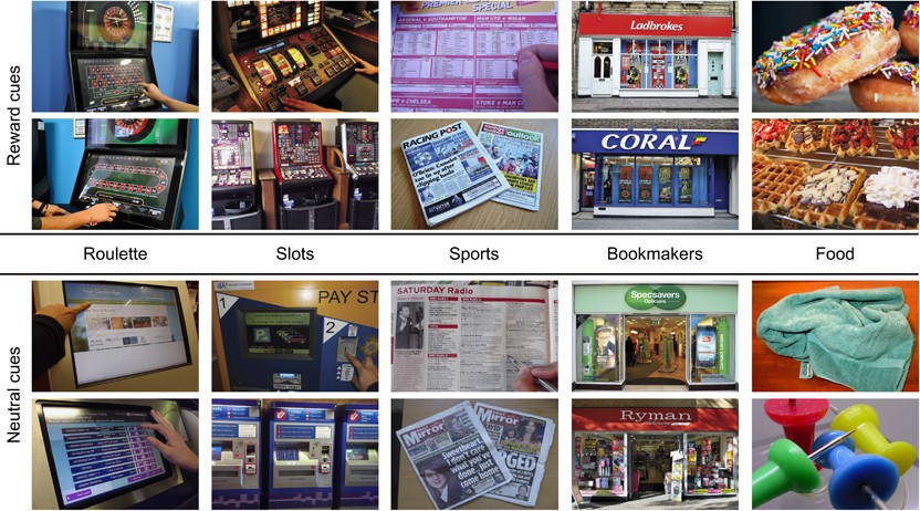 Neural substrates of cue reactivity and craving in gambling disorder |  Translational Psychiatry