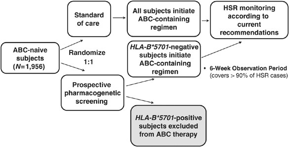 Pharmacogenetics Of Hypersensitivity To Abacavir From Pgx Hypothesis To Confirmation To Clinical Utility The Pharmacogenomics Journal