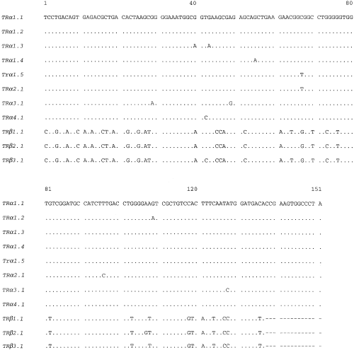 Candidate Gene Analysis Of Thyroid Hormone Receptors In Metamorphosing Vs Nonmetamorphosing Salamanders Heredity Candidate Gene Analysis Of Thyroid Hormone Receptors In Metamorphosing Vs Nonmetamorphosing Salamanders Heredity