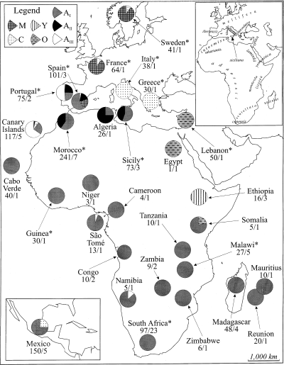 Genetic Diversity Of The Honeybee In Africa Microsatellite And Mitochondrial Data Heredity