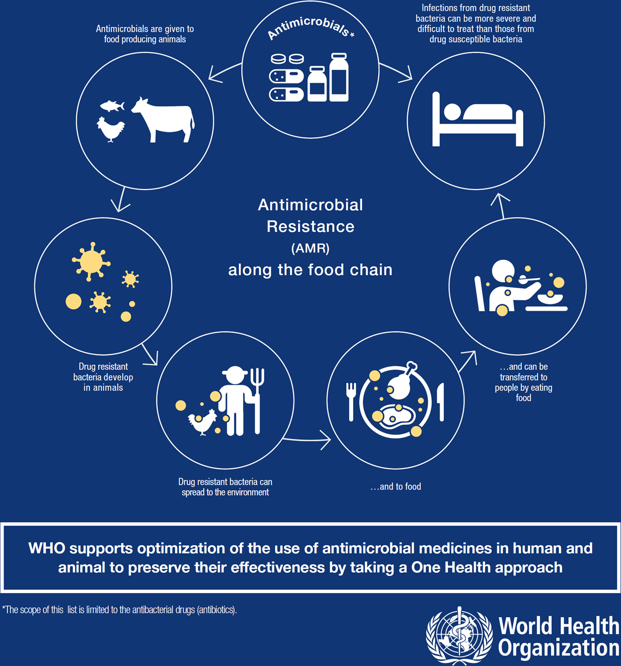 Current accounts of antimicrobial resistance: stabilisation,  individualisation and antibiotics as infrastructure