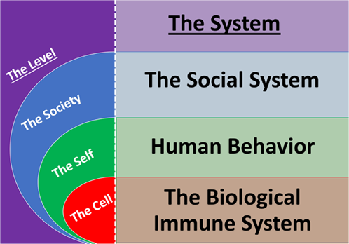 Fig. 2: The systems at each level.