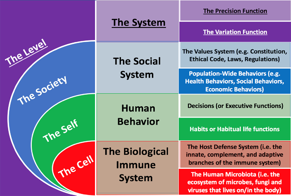 Fig. 3: Precision and variation in each system.